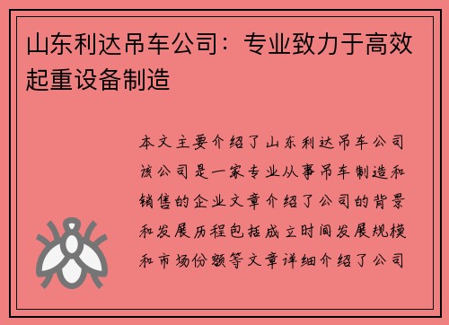 山东利达吊车公司：专业致力于高效起重设备制造