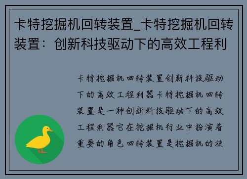 卡特挖掘机回转装置_卡特挖掘机回转装置：创新科技驱动下的高效工程利器